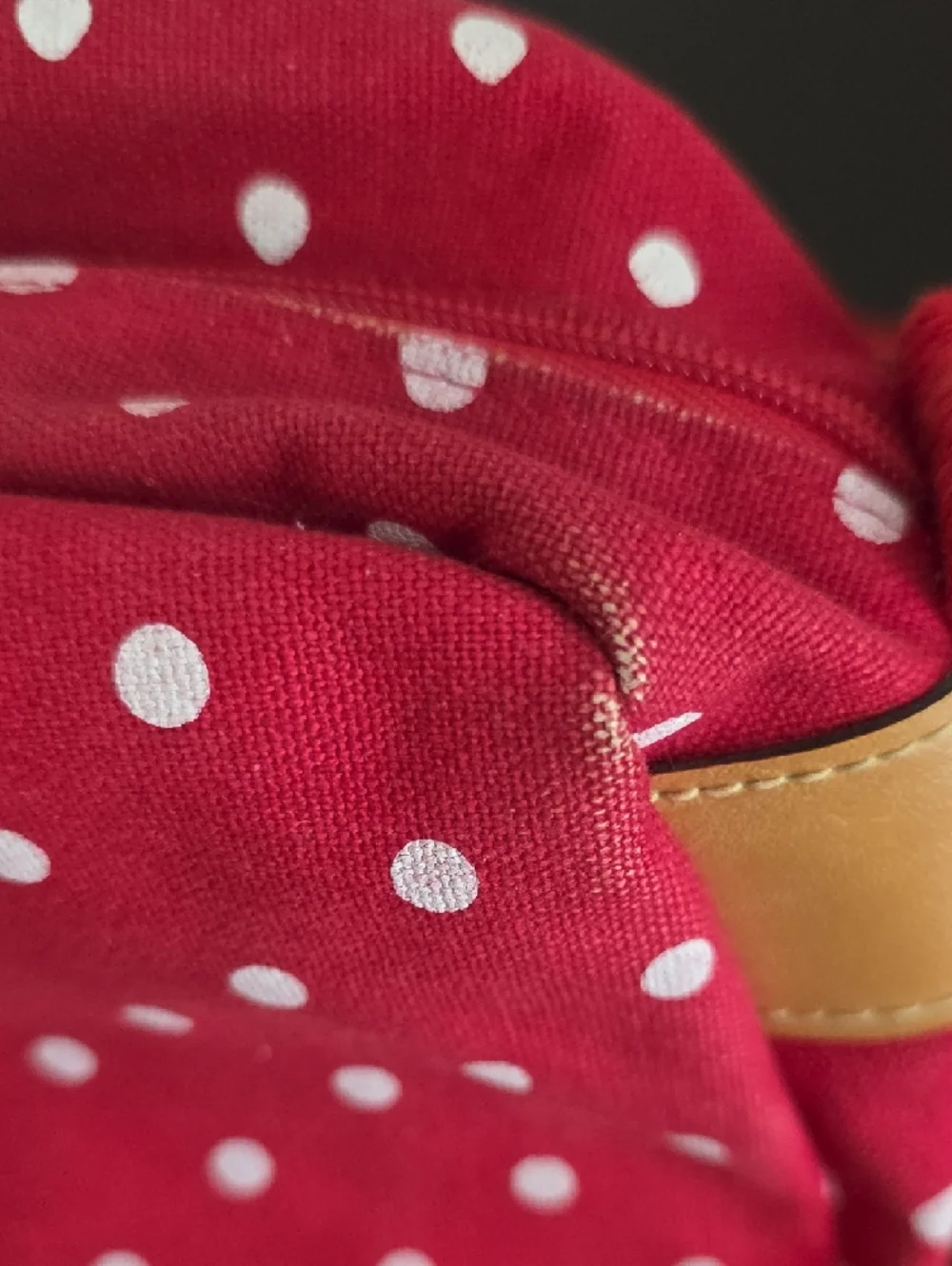 Capezio Polkadot Crossbody Bag